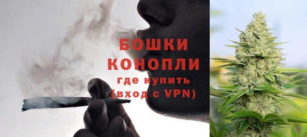 хмурый Инсар