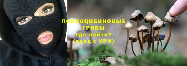 гидра Иннополис