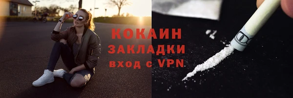 хмурый Инсар
