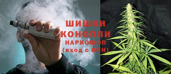 хмурый Инсар