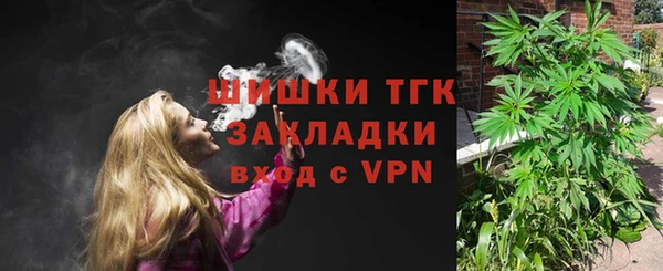хмурый Инсар