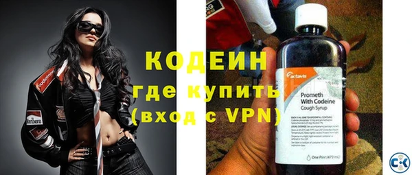 хмурый Инсар