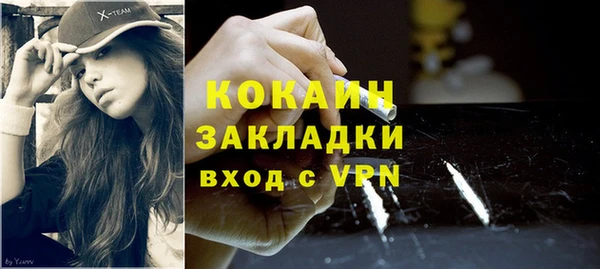 хмурый Инсар