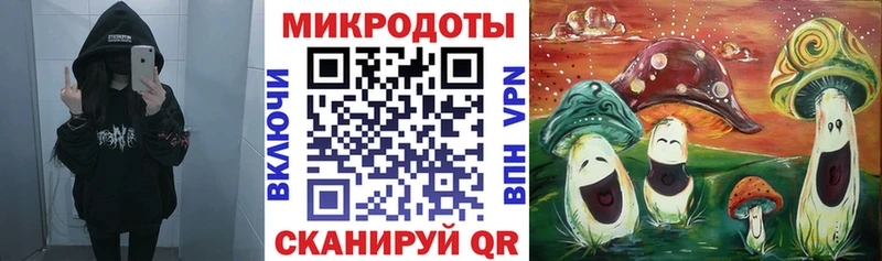 Галлюциногенные грибы Psilocybine cubensis  Каменка 