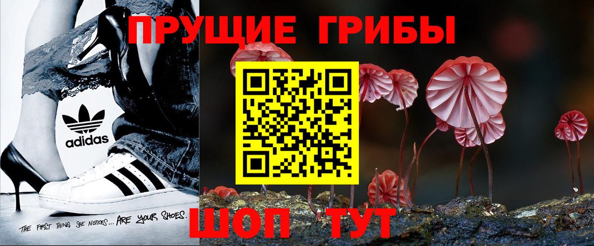 Галлюциногенные грибы мицелий Каменка