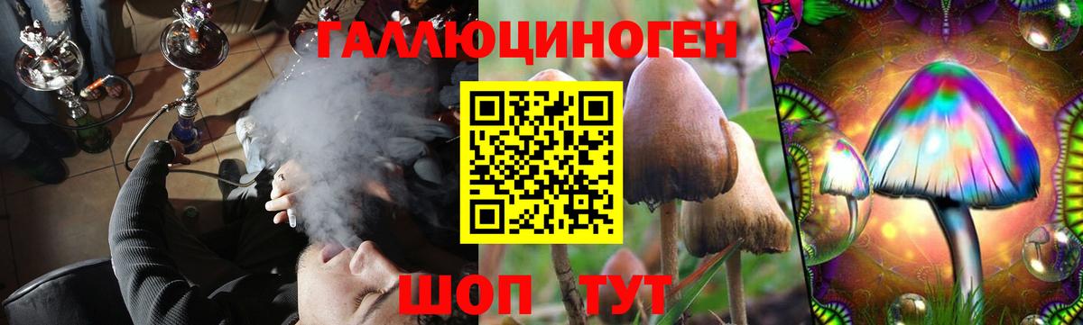 Каменка  Галлюциногенные грибы мицелий  Вход с VPN 